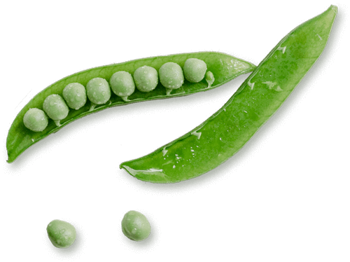 dietitian-96-1